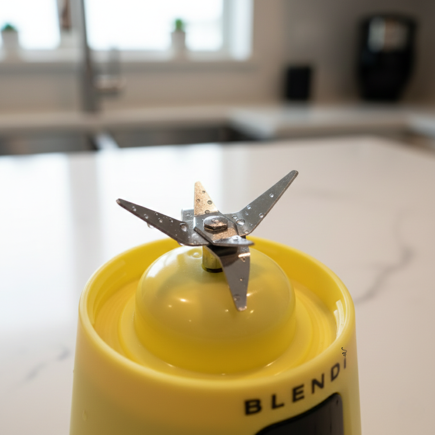 Which Blender Brand is the Most Reliable for Long-Term Use?
