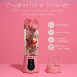 Pro+ Ice Crushing Portable Blender (17oz)