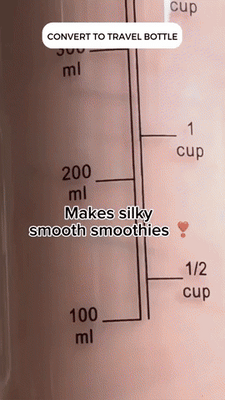 Pro+ Ice-Crushing Power Blender (120W)